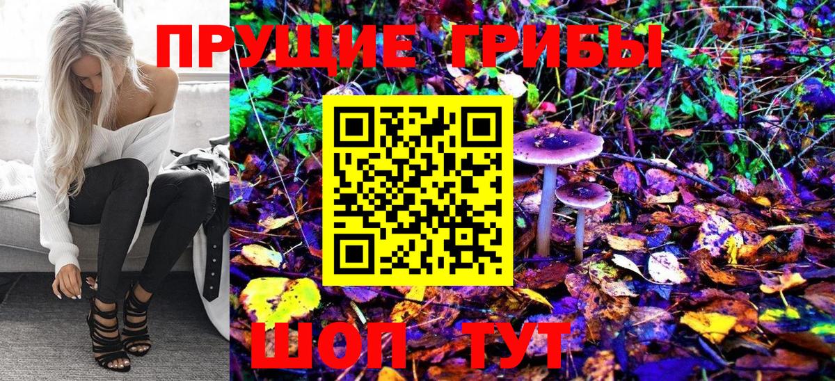 Галлюциногенные грибы Psilocybe Ростов Великий